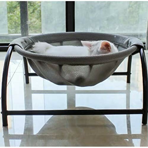 White cat sleeping in a hammock-style pet bed near a window.