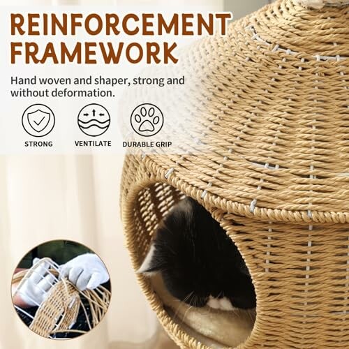 Cat in a wicker basket showcasing reinforcement framework features.