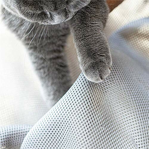 Gray cat paws on a textured fabric.