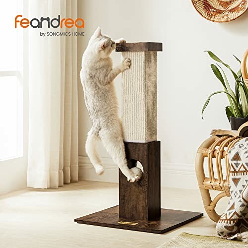 Cat using a scratching post in a cozy room.