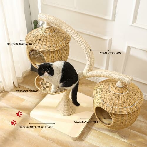 Cat on a woven cat tree with two closed nests and sisal column.