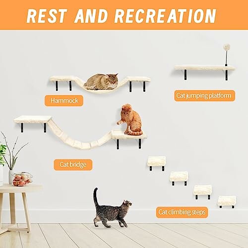 Cat wall furniture set with hammock, bridge, jumping platform, and climbing steps.