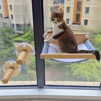 Cat Window Perch with 2 Window Stairs