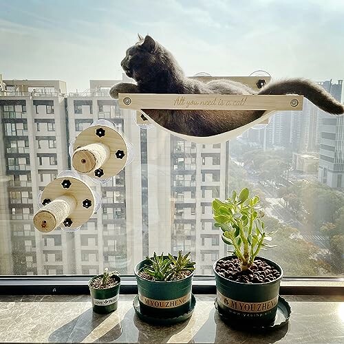 Cat resting on a window perch with plants below, overlooking city buildings.